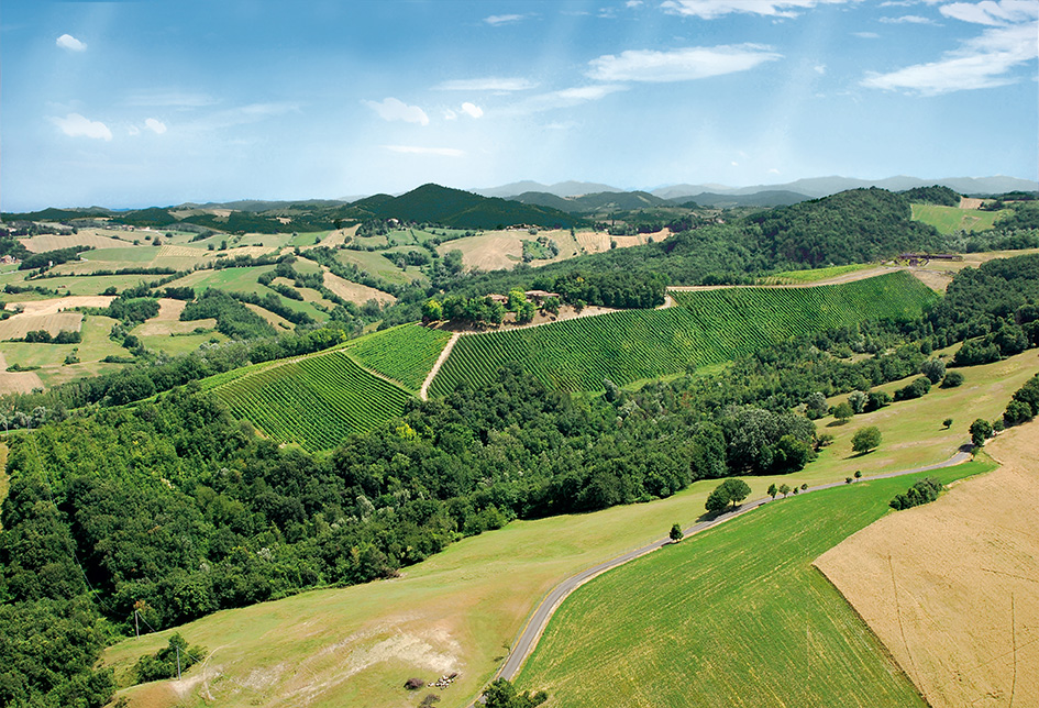 Tenuta il Poggiolo e Cantina il Poggio