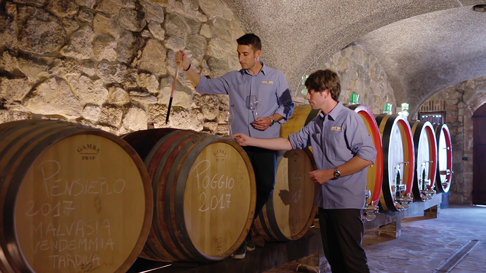 Tenuta il Poggiolo e Cantina il Poggio