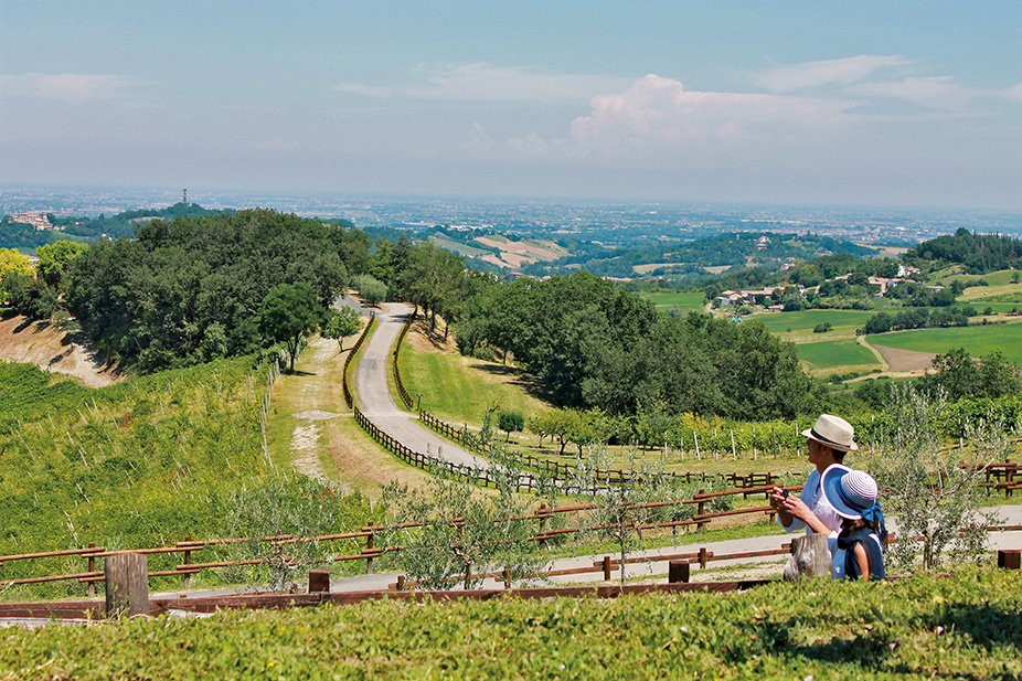 Tenuta il Poggiolo e Cantina il Poggio