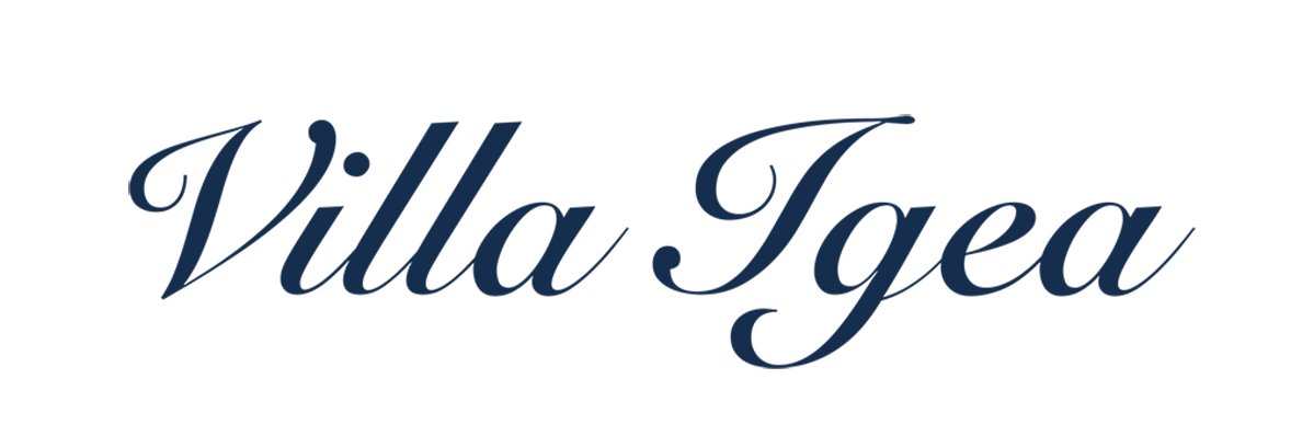 Clinica Villa Igea
